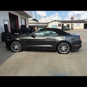 Meet your Posher, Jori